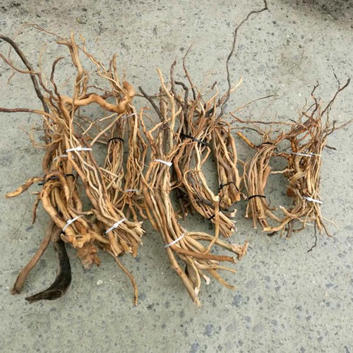 Natural driftwood aquarium - us,